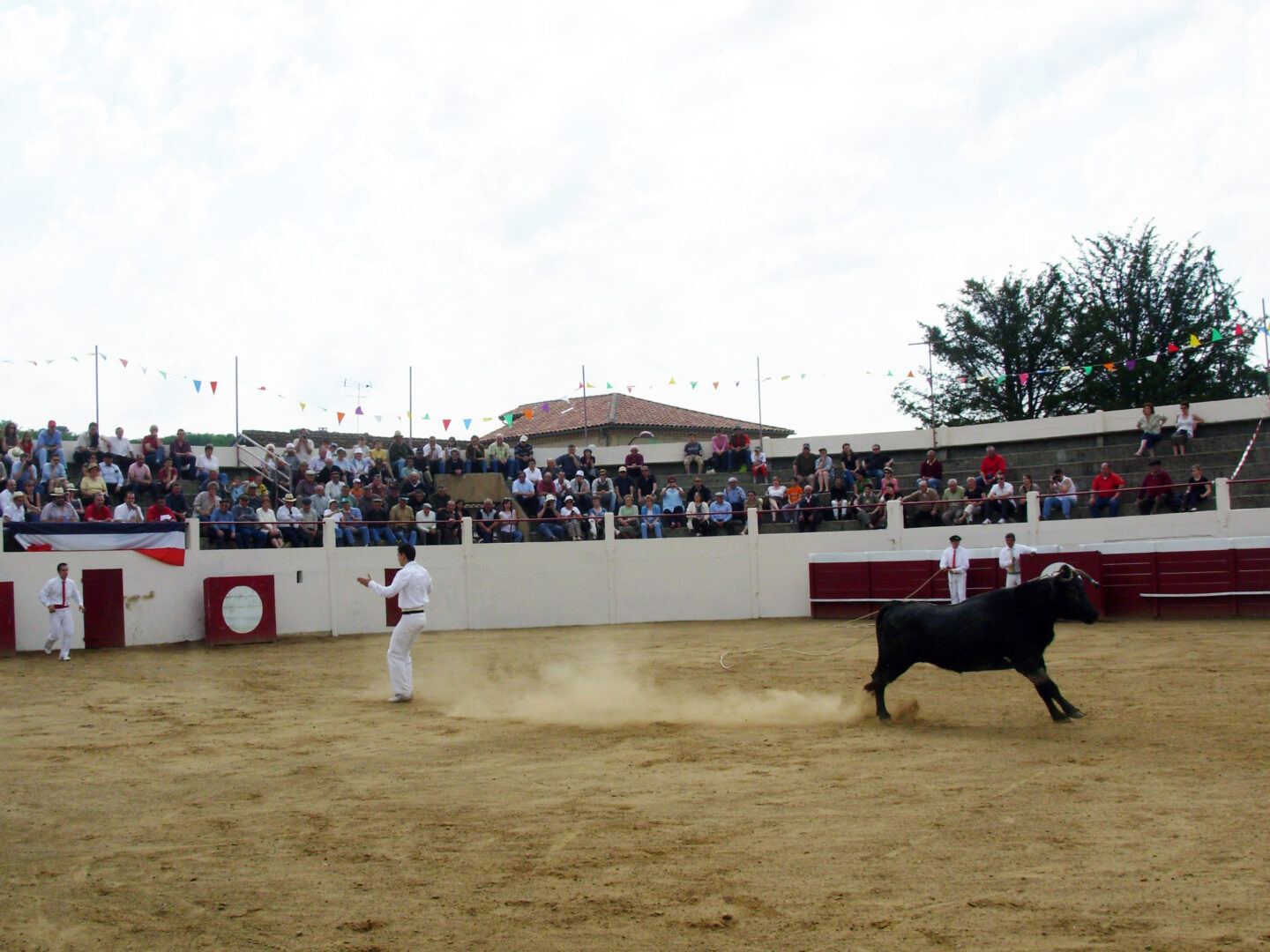 Découvrez la course landaise de l&rsquo;intérieur avec un ambassadeur passionné  Grenade-sur-l&rsquo;Adour