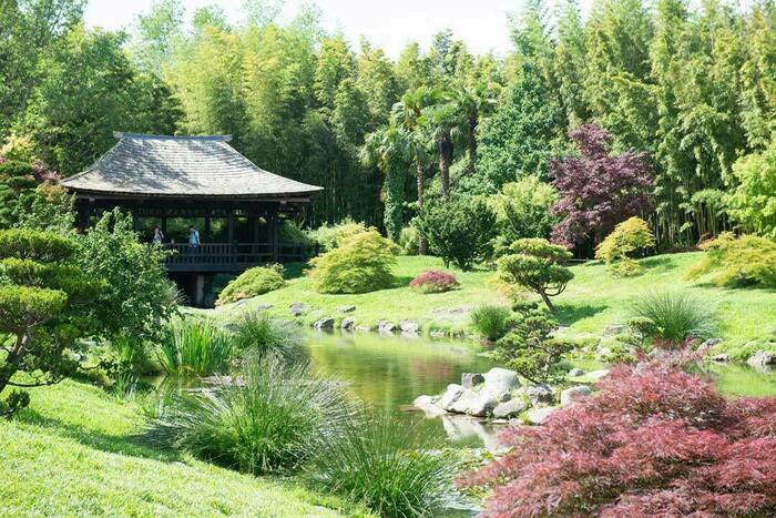 Découvrez la faune exotique, La Bambouseraie en Cévennes, Générargues