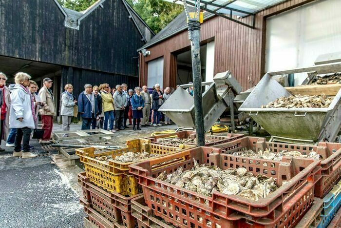 Découvrez la ferme Marine de Cancale et son savoir-faire ! La ferme Marine Cancale
