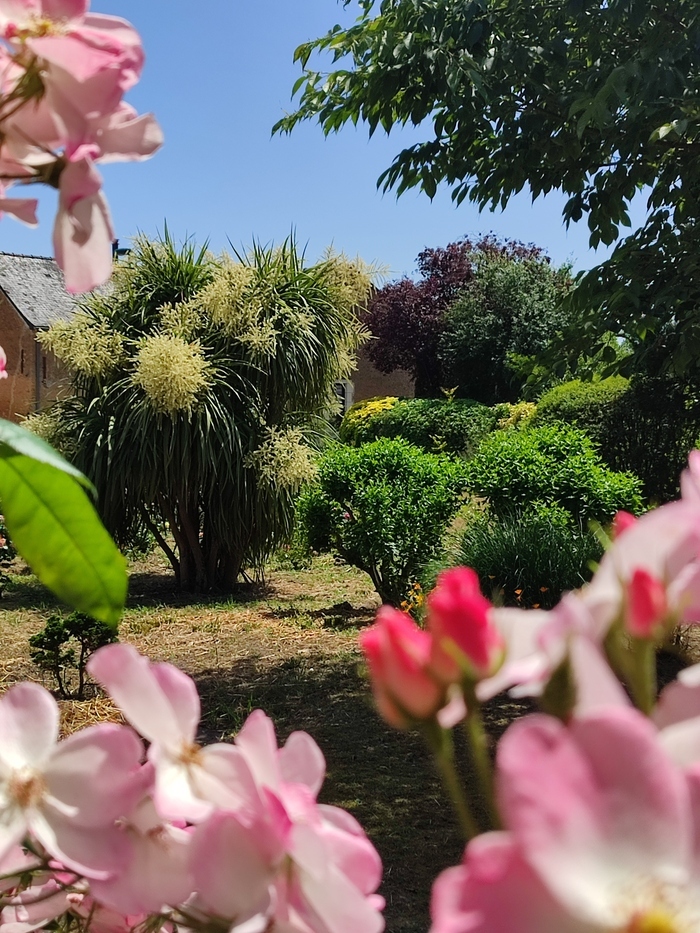 Découvrez le Jardin de Serge Le Jardin de Serge : 1 rue du Croc 49430 Les Rairies Les Rairies
