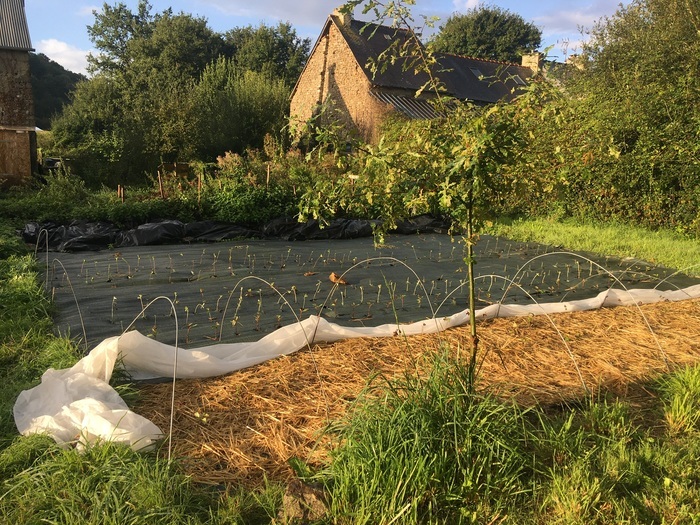 Découvrez Le Marais Fertile le temps d’un weekend, Le Marais Fertile, Plouasne