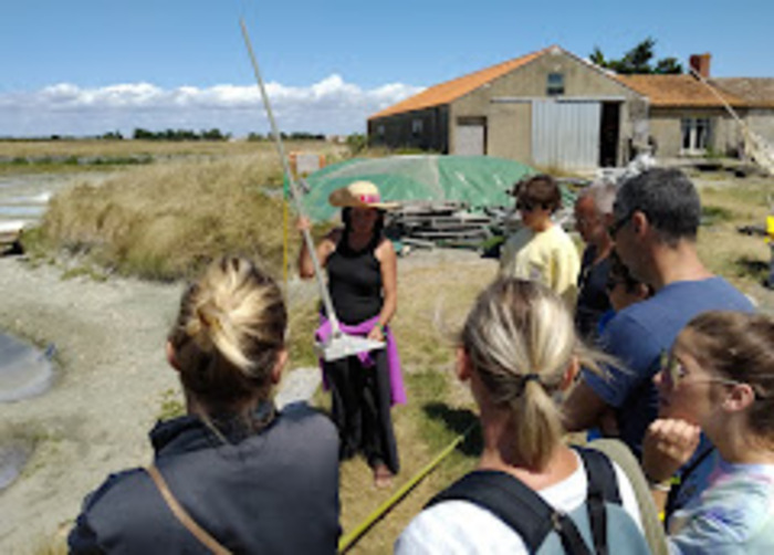 Découvrez notre marais salant et notre métier de saunier aux Salines du Breuil Salines du Breuil Beauvoir-sur-Mer