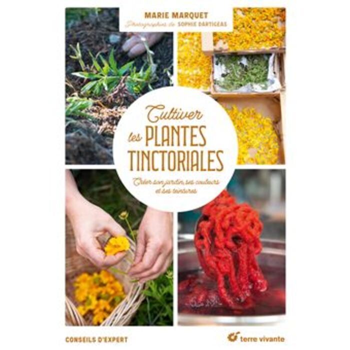 Dédicace avec Marie Marquet