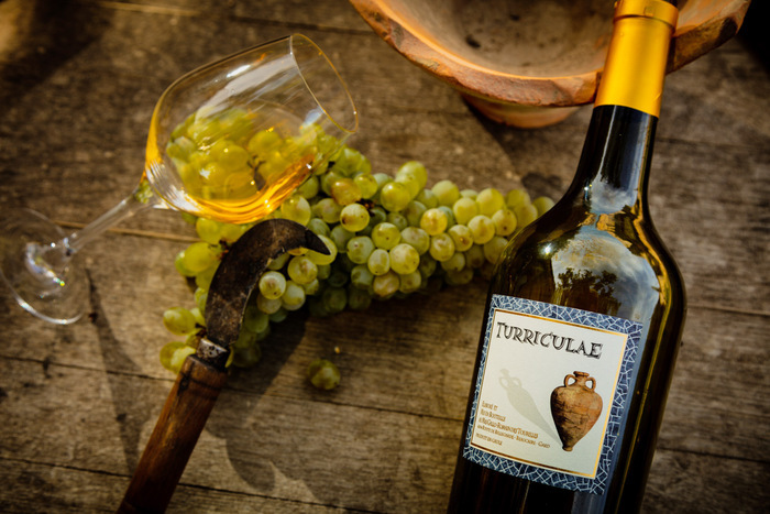 Dégustation de Romanum Vinum, Mas des Tourelles, Beaucaire