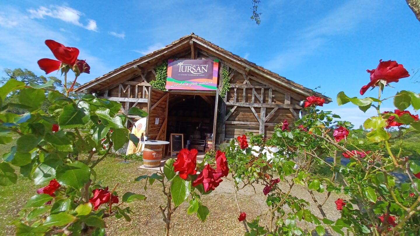 Dégustations gratuites de vins landais Bergerie des vignerons landais Messanges