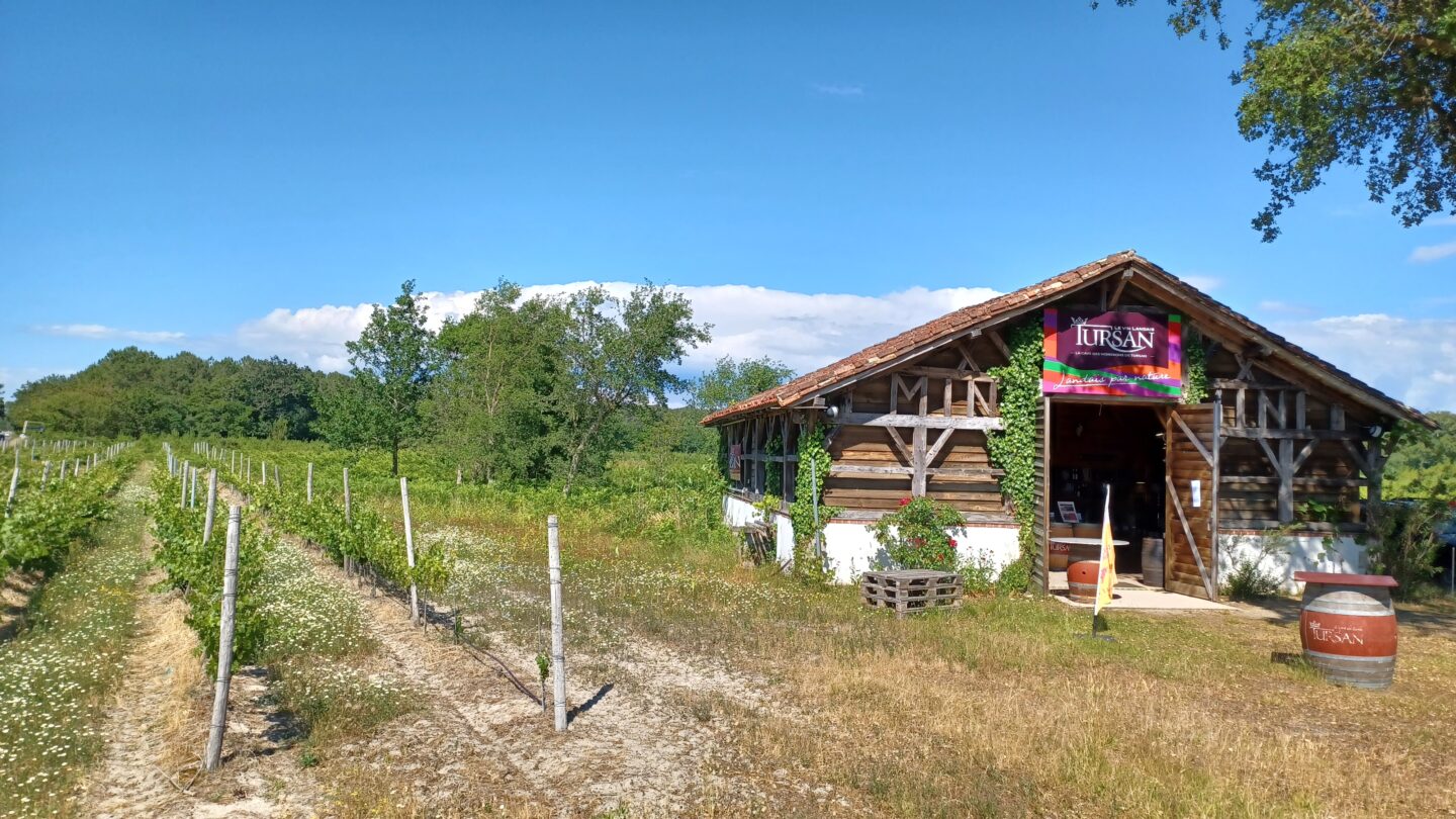 Dégustations gratuites de vins landais Bergerie des vignerons landais Messanges