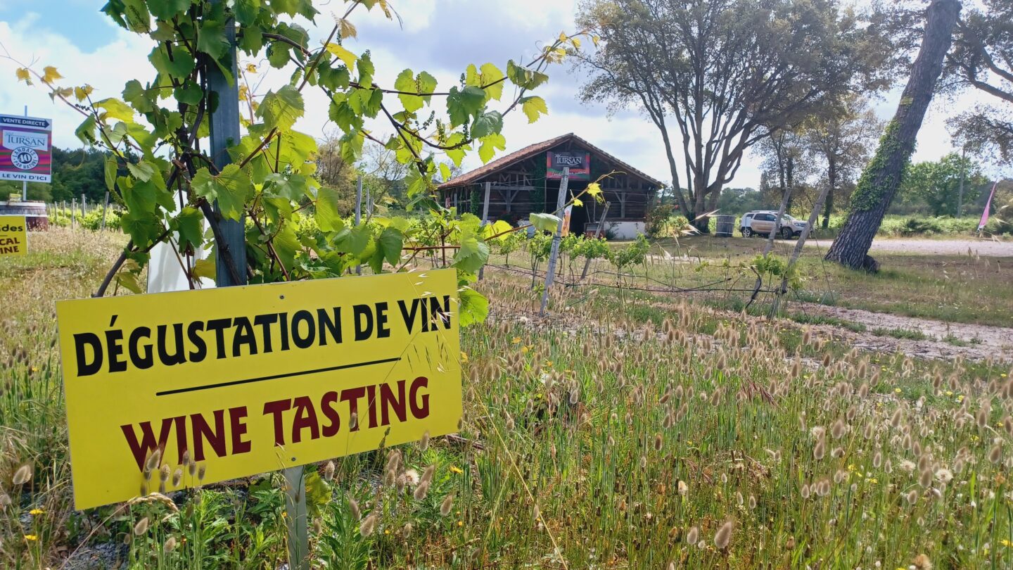 Dégustations gratuites de vins Bergerie des vignerons landais Messanges