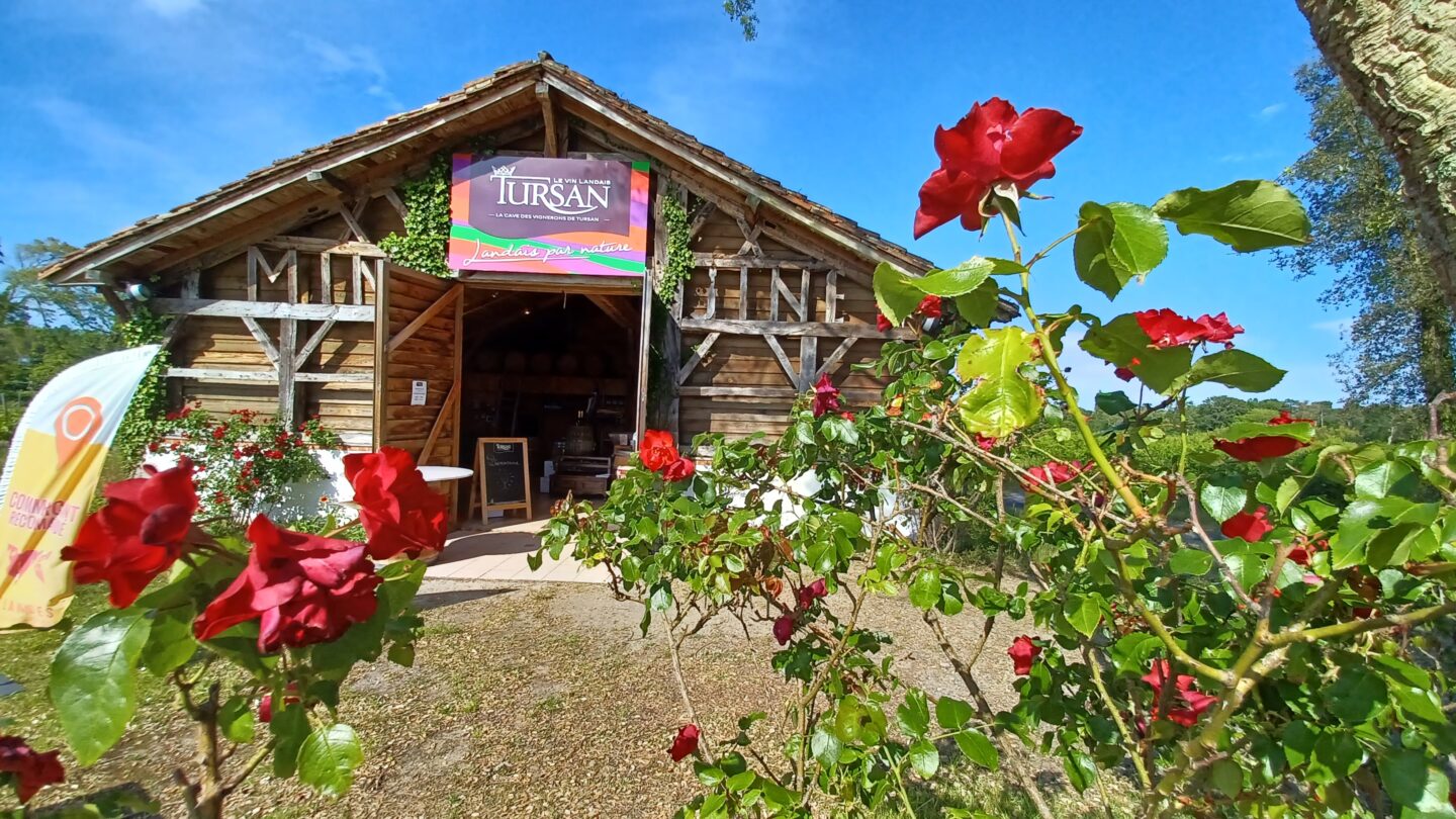 Dégustations gratuites de vins Bergerie des vignerons landais Messanges