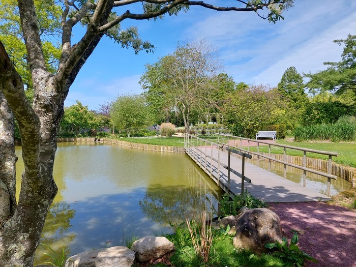 Démonstration : le Bassin aux Nymphéas Parc floral William Farcy Offranville