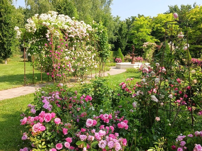 Démonstration : parlons jardin au "Jardin de Suzanne" Le jardin de Suzanne Saint-Pierre-de-Cormeilles