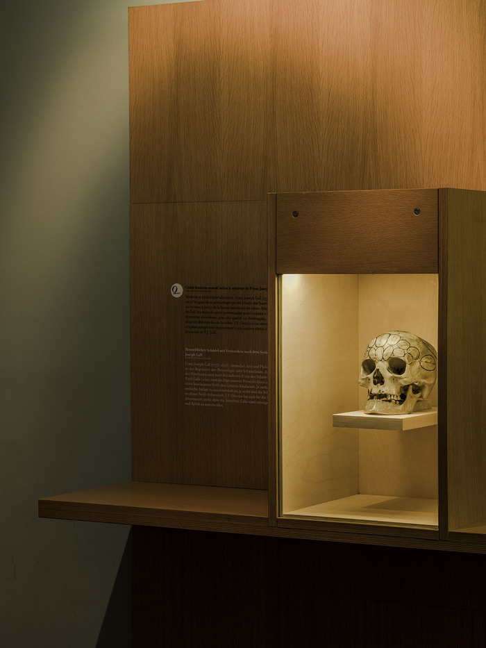 Des intrus au Musée, Musée Jean Frédéric Oberlin, Waldersbach