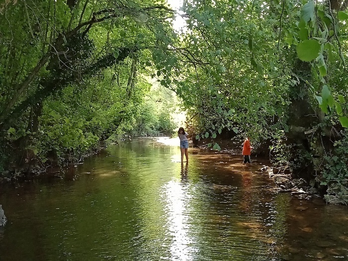 Des petites bêtes en vois-tu ? En voilà !, Lieu de rdv donné à la réservation, Verson