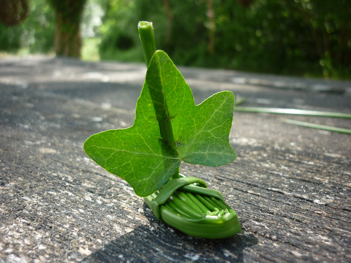 Des plantes et des jeux Devant l'espace culturel du Houlme