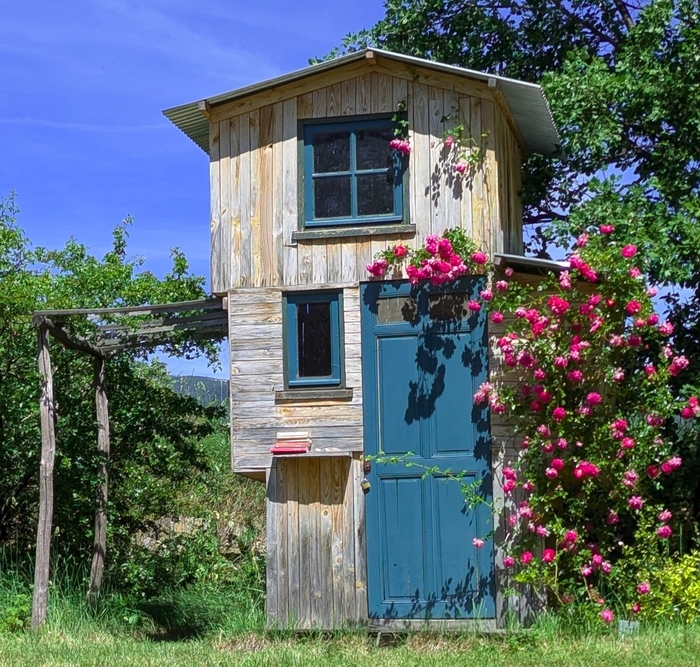 Des roses dans la tête