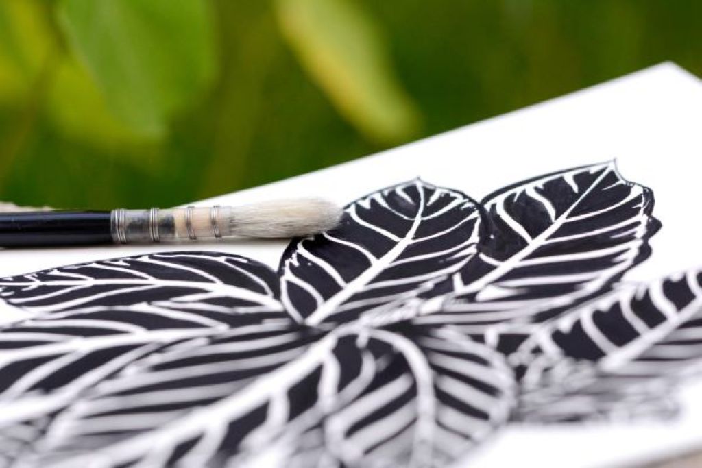 Dessin botanique et réalisation d’encre végétale à l&rsquo;écomusée de Cuzals  Sauliac-sur-Célé