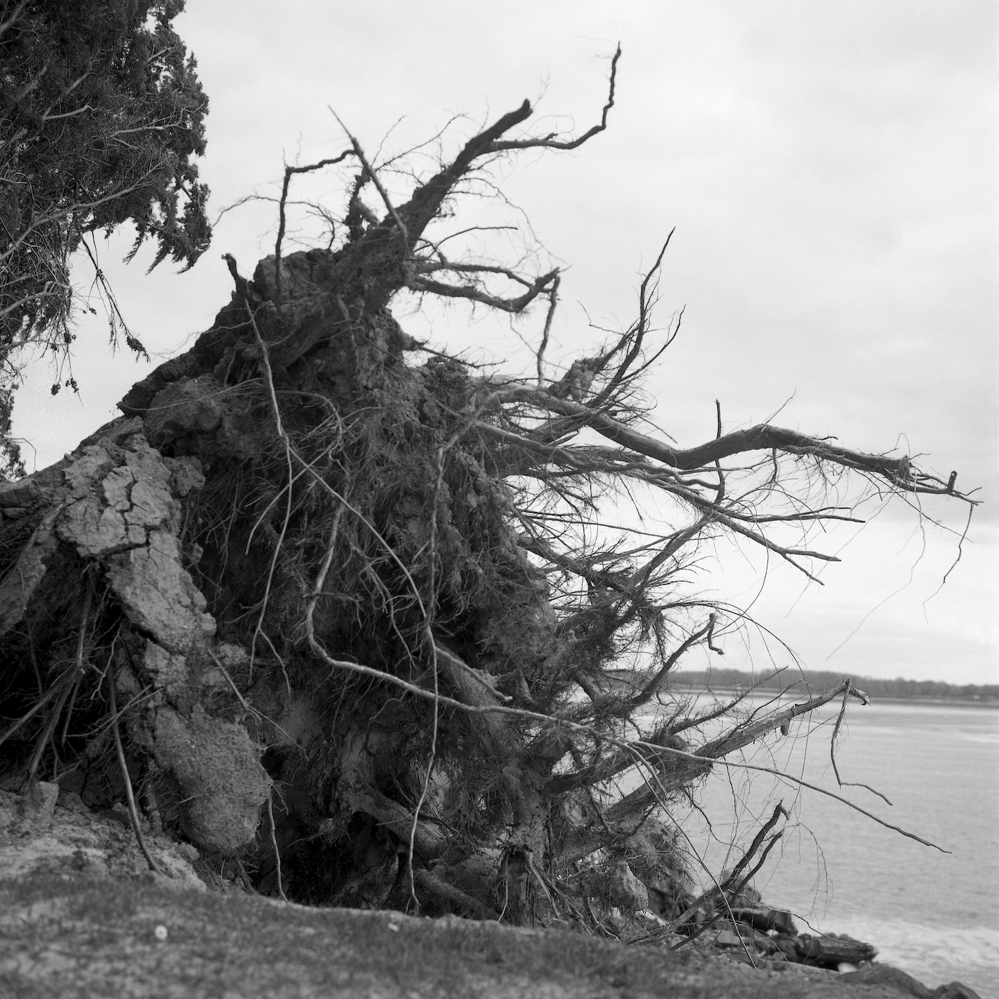 Coutances aux quatre-vents