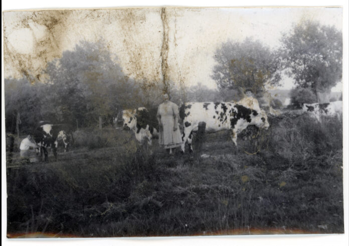 Coutances aux quatre-vents