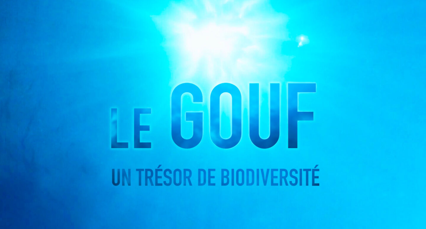 Diffusion du film documentaire Le Gouf, un trésor de biodiversité Maison de l&rsquo;Environnement Anglet