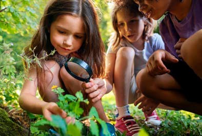 Domaine de Sédières Devenez explorateur de la nature en forêt Château de Sédières Clergoux 2026-07-18