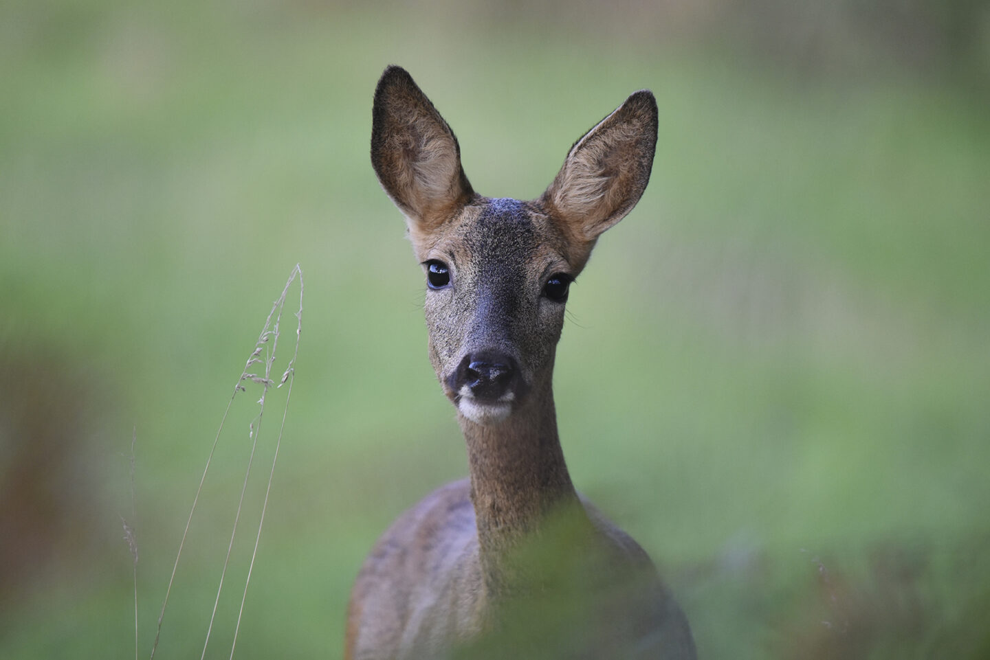 Domaine de Sédières Exposition en extérieur Sedières Clergoux