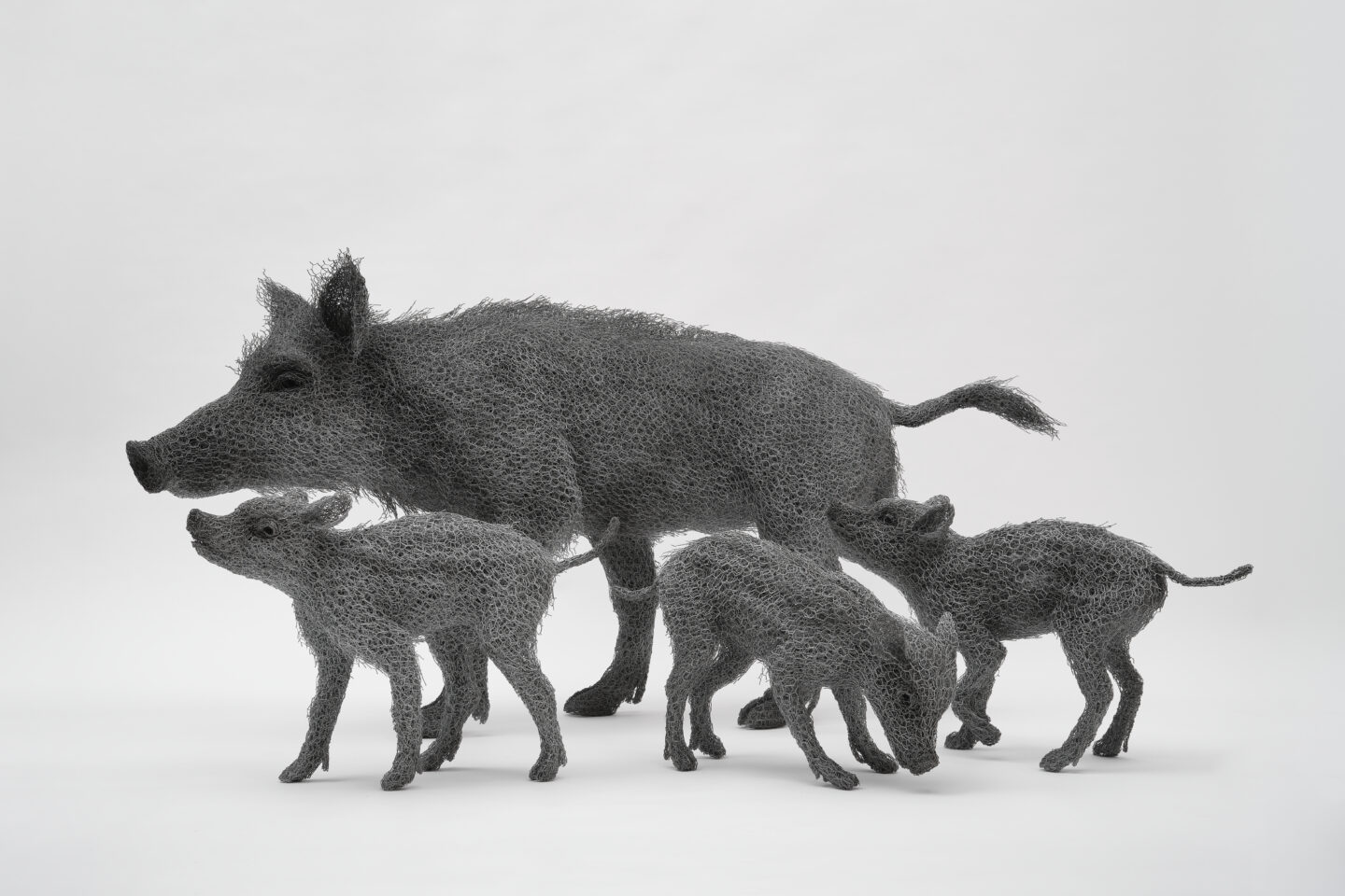 Domaine de Sédières Exposition Nature Sedières Clergoux