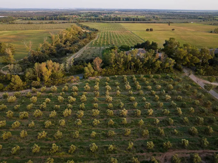 Domaine Jolibois, Domaine Jolibois, Eyguières