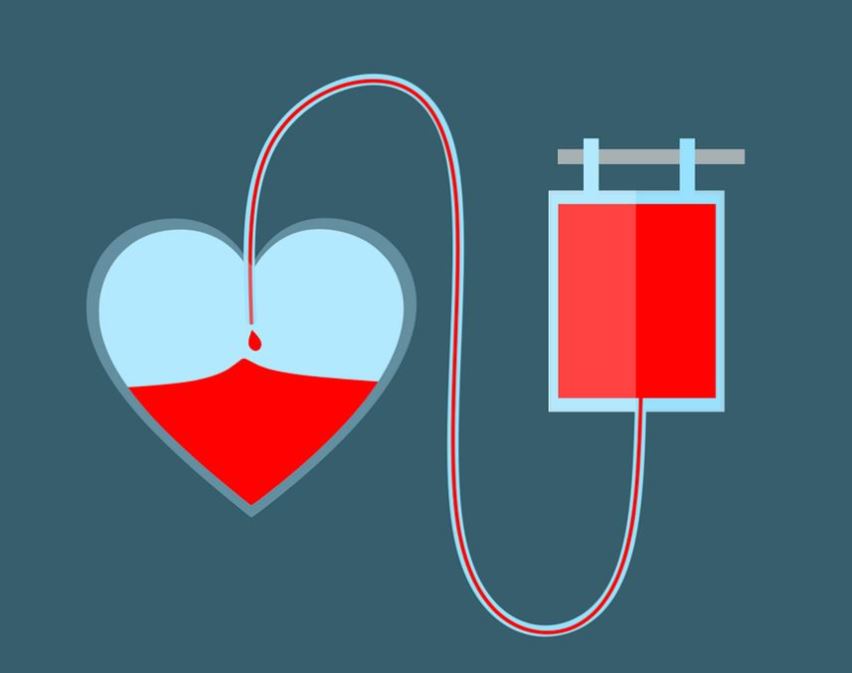 Don du sang Rue du Sergent Rey Bergerac 2026-07-08