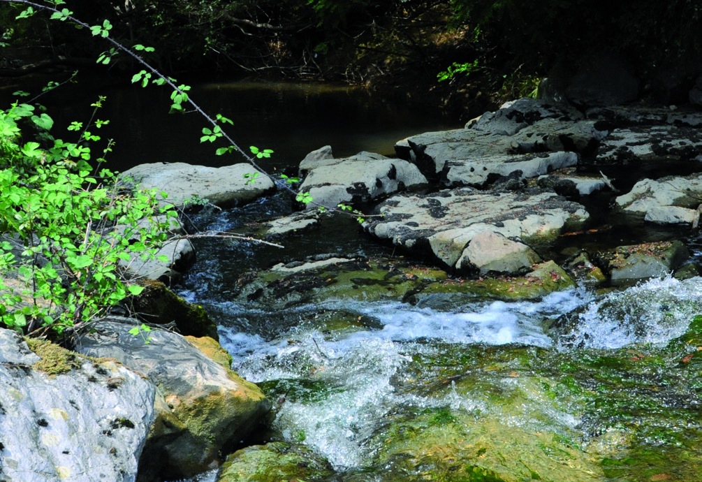 Du Luzoué au Castérot Lahourcade Pyrénées-Atlantiques