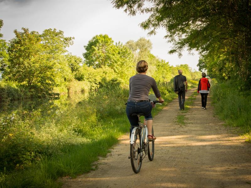 Du Rhône au Rhin De Kunheim à Artzenheim Kunheim Grand Est