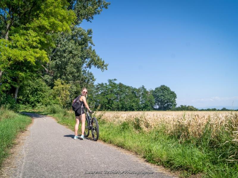 Du Rhône au Rhin, Partie Sud D&rsquo;Hirtzfelden à Ottmarsheim Hirtzfelden Haut-Rhin