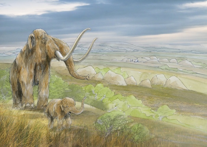 « Du Rozel à Tatihou, quand l&rsquo;homme de Néandertal occupait le Cotentin » par Dominique Cliquet, Île Tatihou, Saint-Vaast-la-Hougue