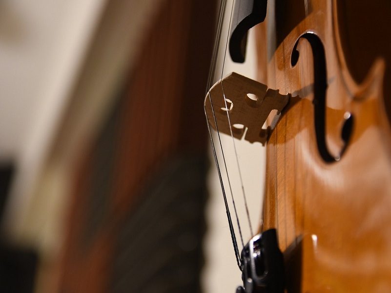 Duo Violoncelle et Accordéon Voyage au cœur de la Grande Europe 23 rue de la mer Luc-sur-Mer 2026-08-13