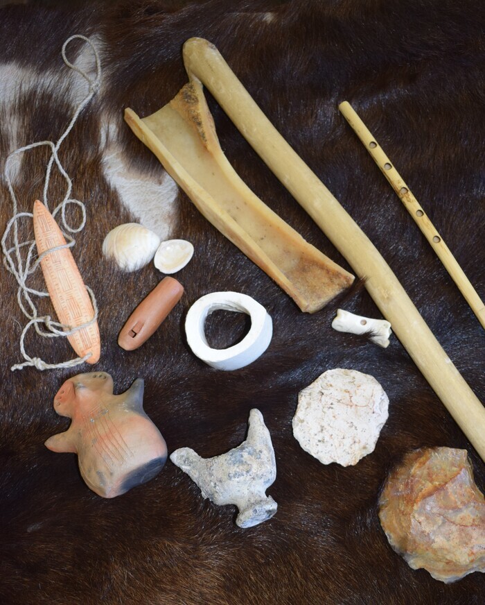 Échos animaux Musée Saint-Remi Reims