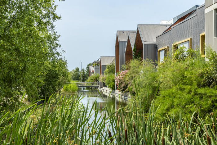 Éco-Ginko, Place Jean Cayrol, Bordeaux