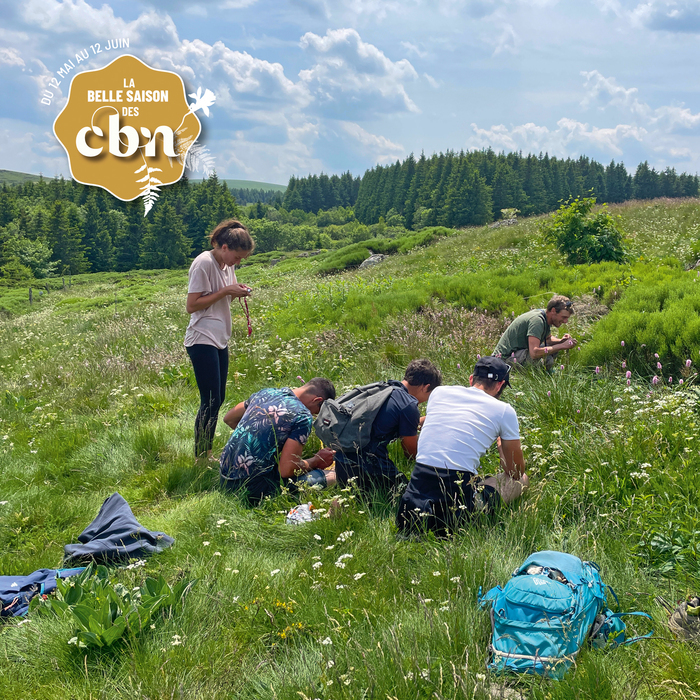 Élevage montagnard & prairies fleuries : ce que les plantes nous racontent – Puy-de-Dôme, Centre montagnard Cap Guéry, Perpezat