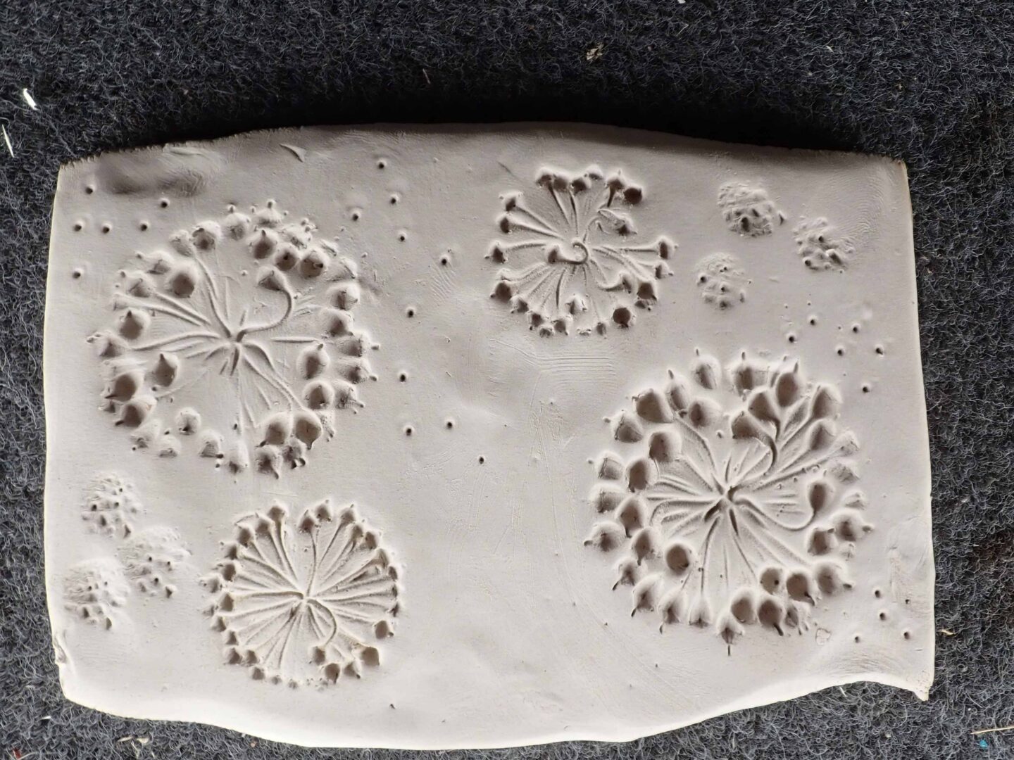 Empreintes végétales sur argile 4 Rue Jules Ferry Saulieu 2026-10-28