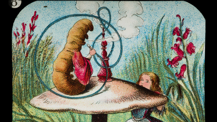 En Famille:  » Parmi les lanternes magiques », Musée des Arts Précieux Paul-Dupuy, Toulouse