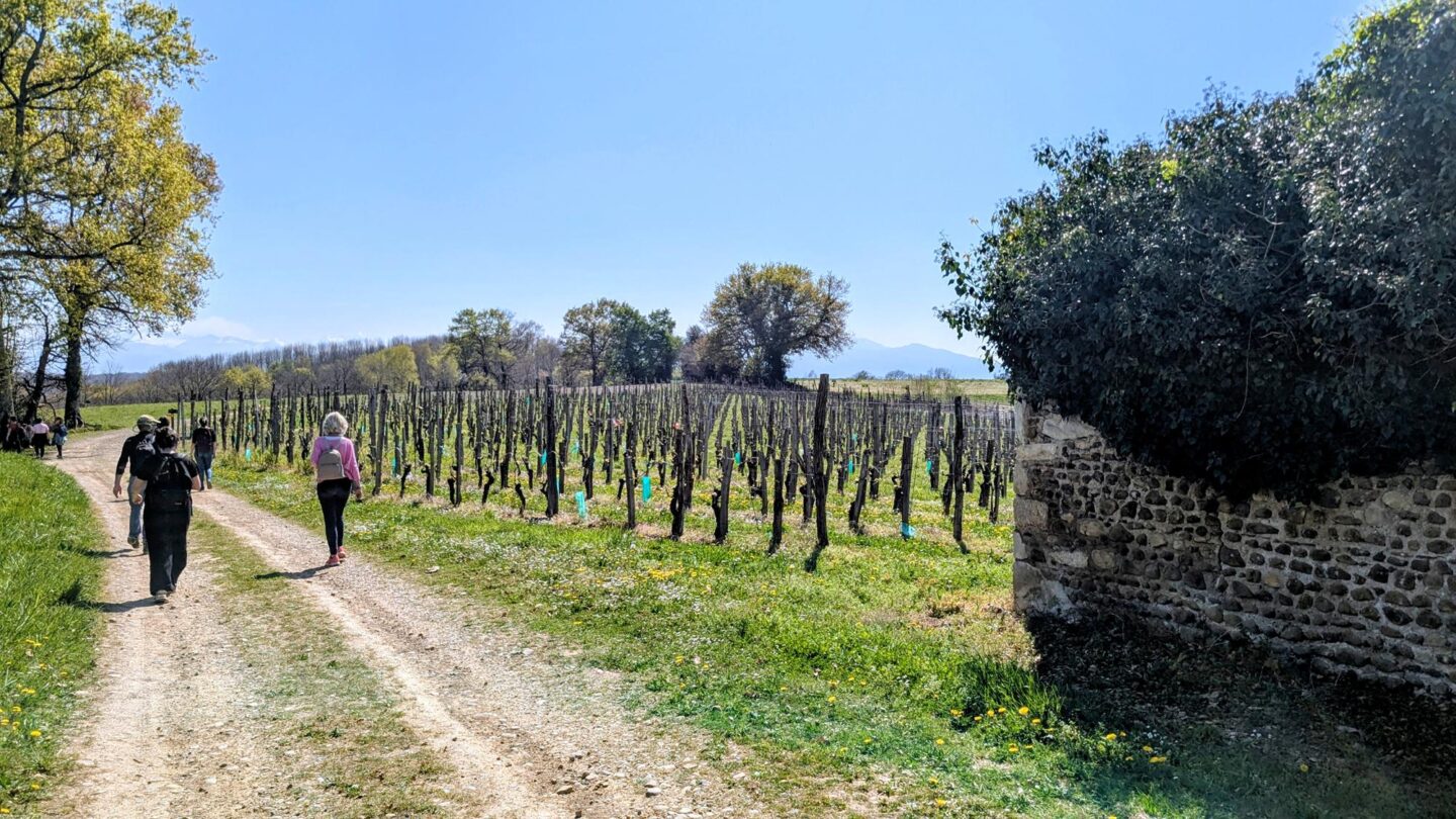 Entre bois et panorama Monein Pyrénées-Atlantiques