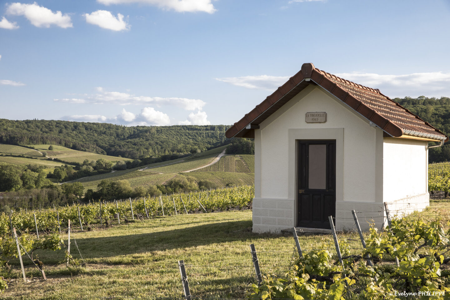 Escapade à la Thiodelle  Baroville