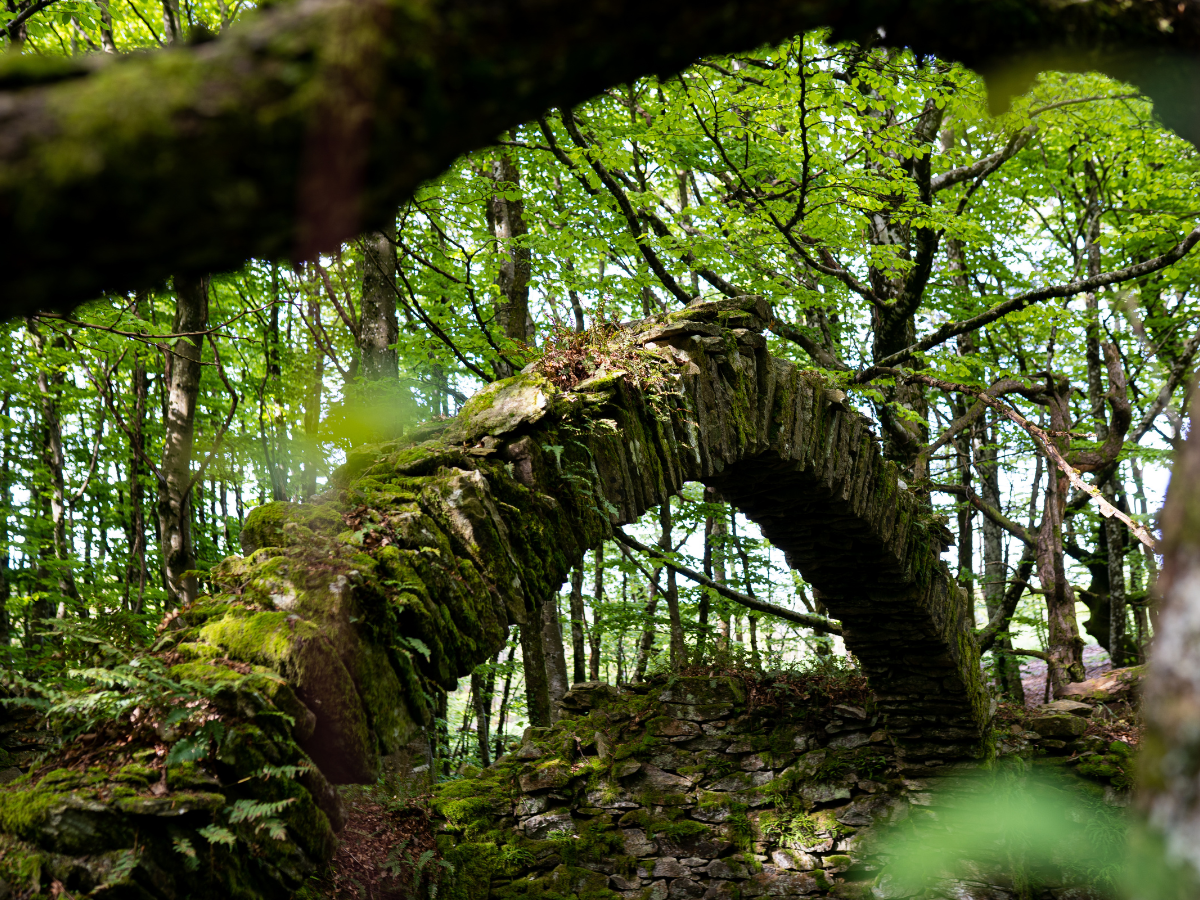 ESCAPADES EN MONTAGNE NOIRE LE SENTIER DES GLACIÈRES Chemin du Lac Birotos Pradelles-Cabardès 2026-05-24