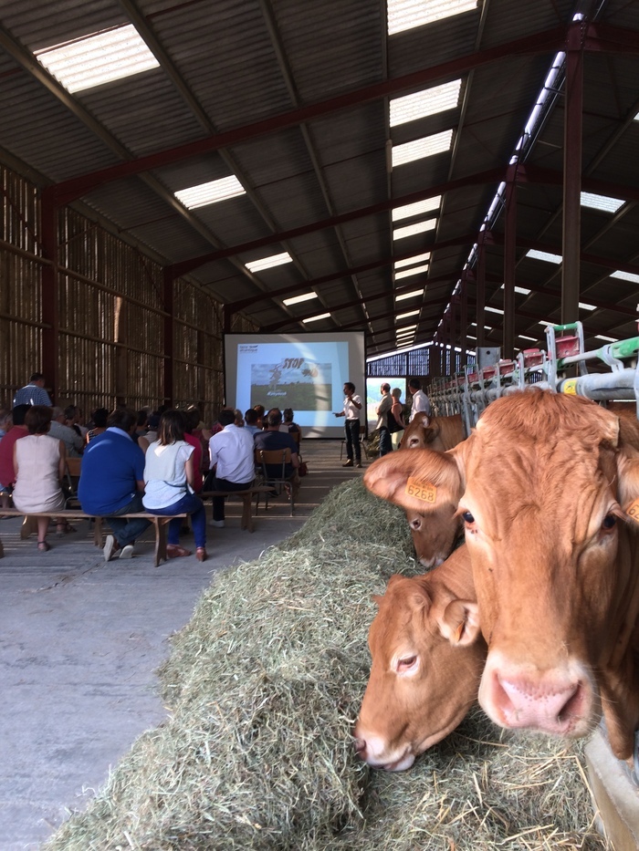 Et si on parlait d&rsquo;élevage bovin ? De l&rsquo;étable à l&rsquo;assiette …, Les Roulières de VIRSON, Virson
