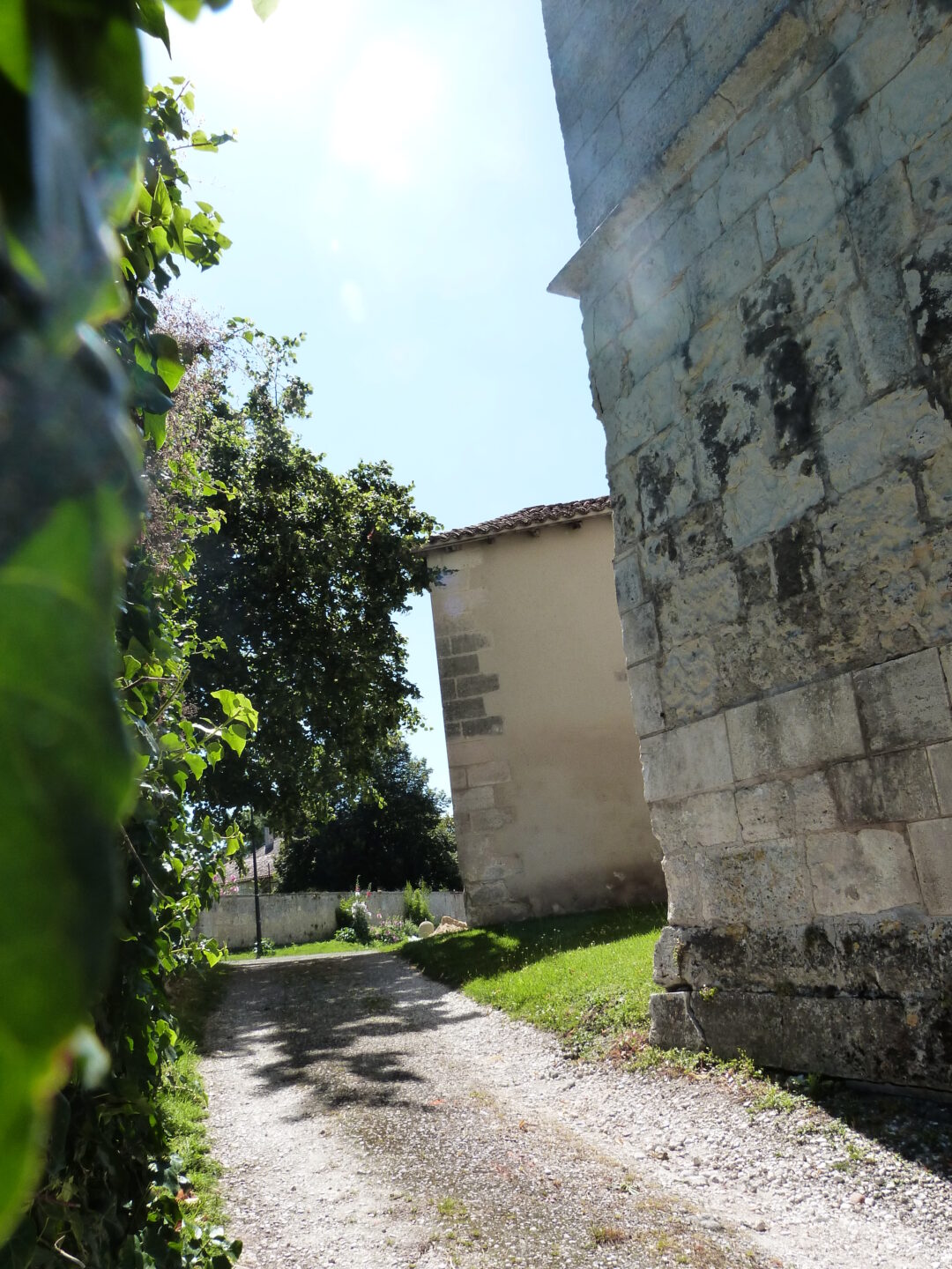 Été Actif Conte animé les gardiens des châteaux à Allemans Place de la Mairie Allemans 2026-08-17