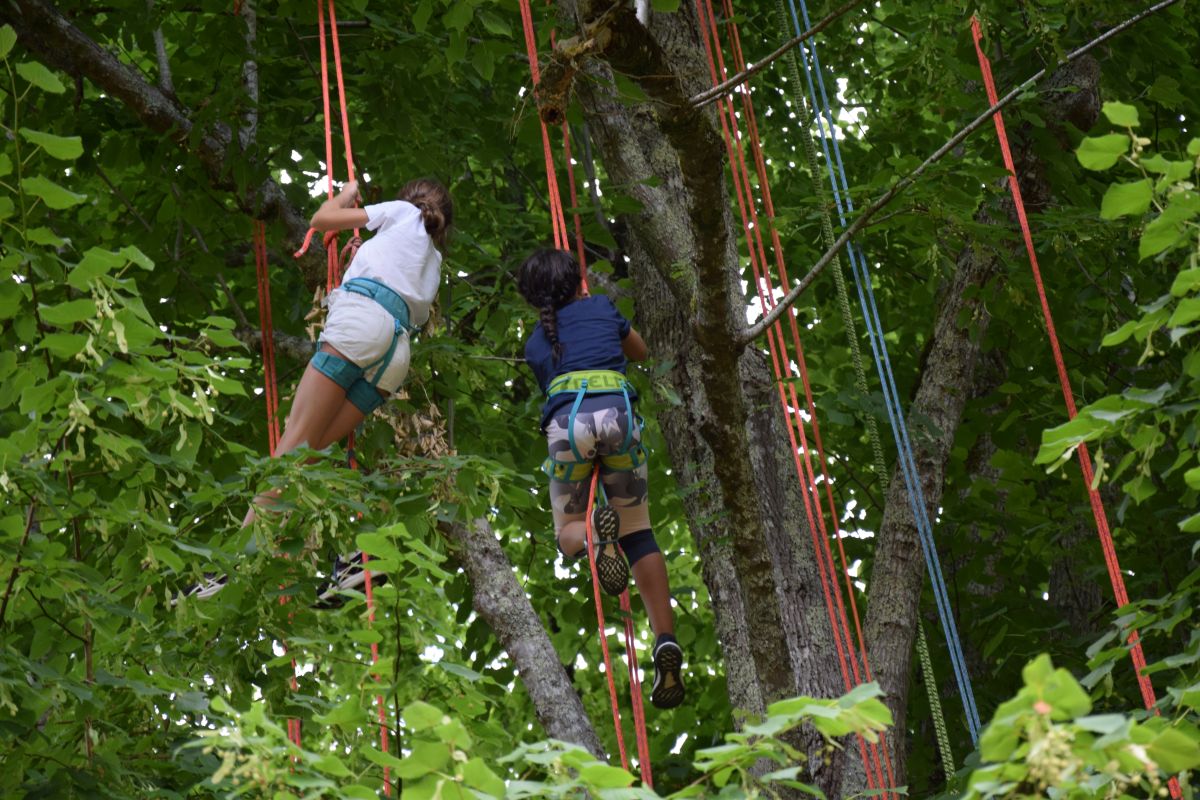 Eté actif Grimpe d’arbre place de l’église Jaure 2026-07-31