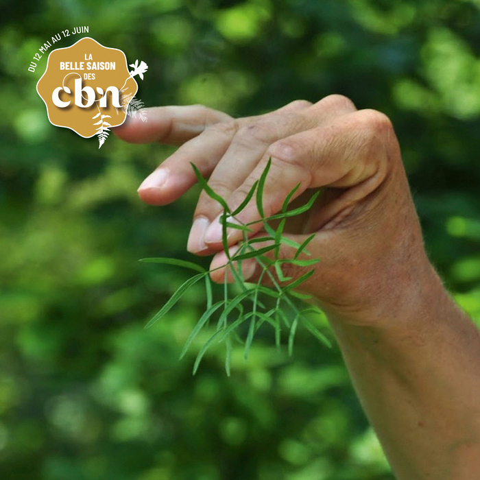 Être botaniste en 2026 - Rhône Jardin botanique de Lyon Lyon