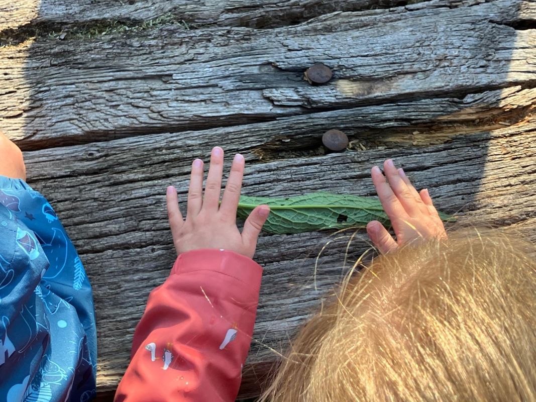 Eveil à la nature spécial 18 mois 4 ans A la recherche des petites bêtes  Doville 2026-08-27