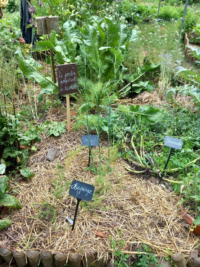 Eveil de regards sur les jardins de la Maison de l'Environnement Maison de l'Environnement Vert-Saint-Denis