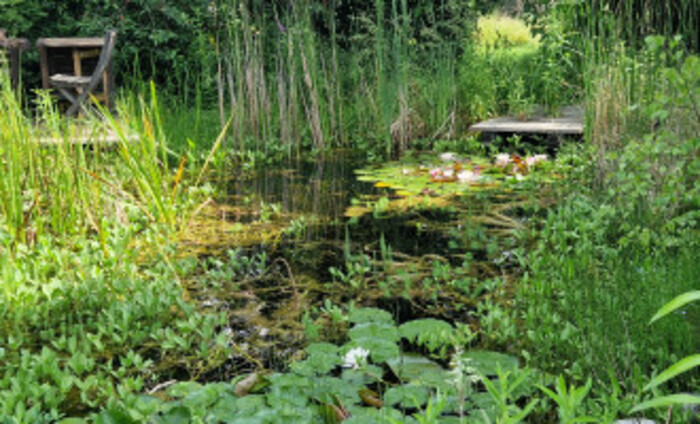 Exemple de jardin naturel Ukážková prírodná záhrada Teplička nad Váhom