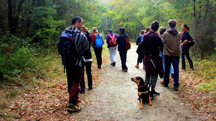 Explorez la biodiversité locale : à la découverte des plantes sauvage avec Nos Deux Mains, Maison écocitoyenne, Bordeaux