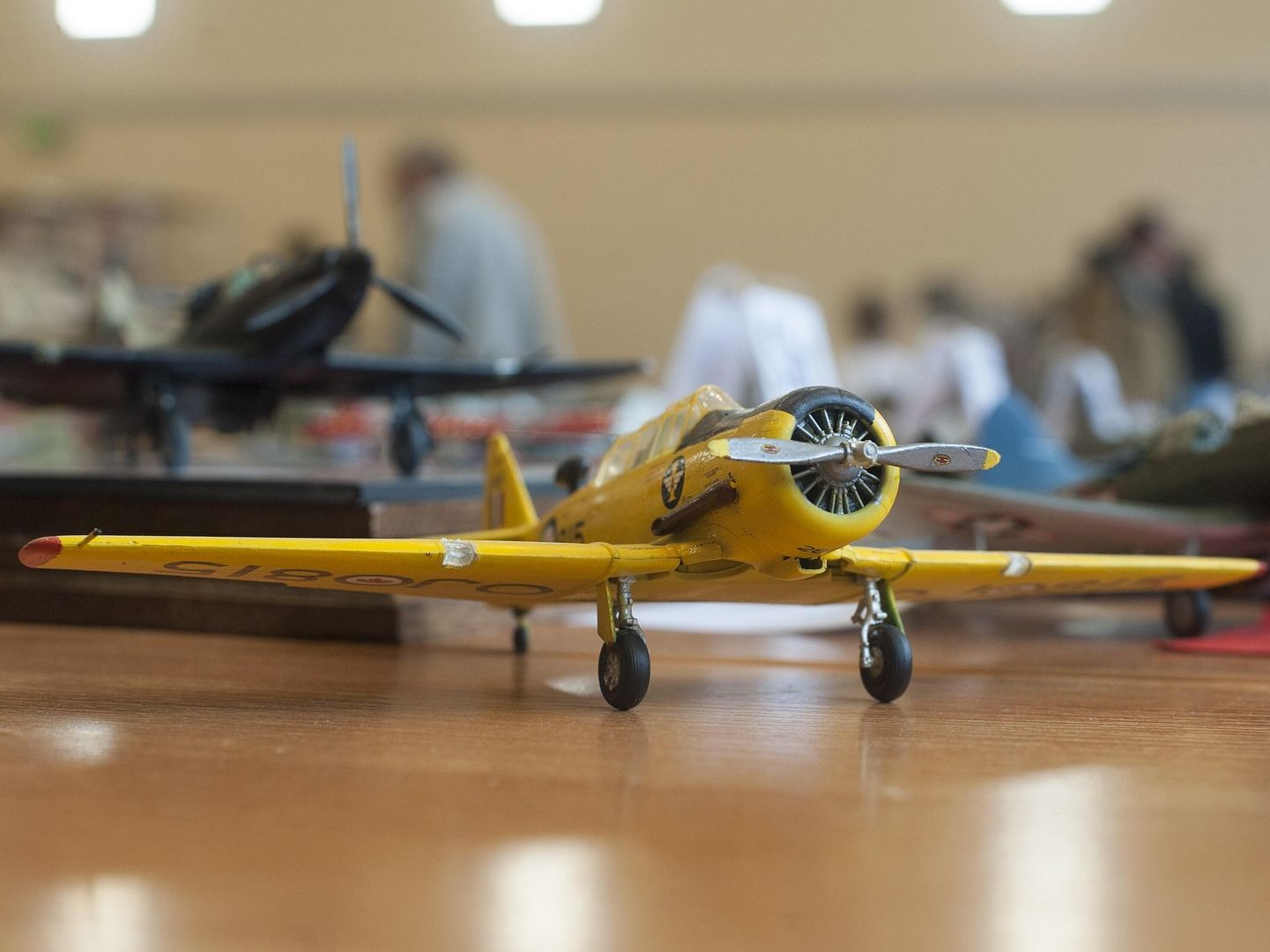 Expo maquettes et miniatures Place de la Mairie Soumoulou