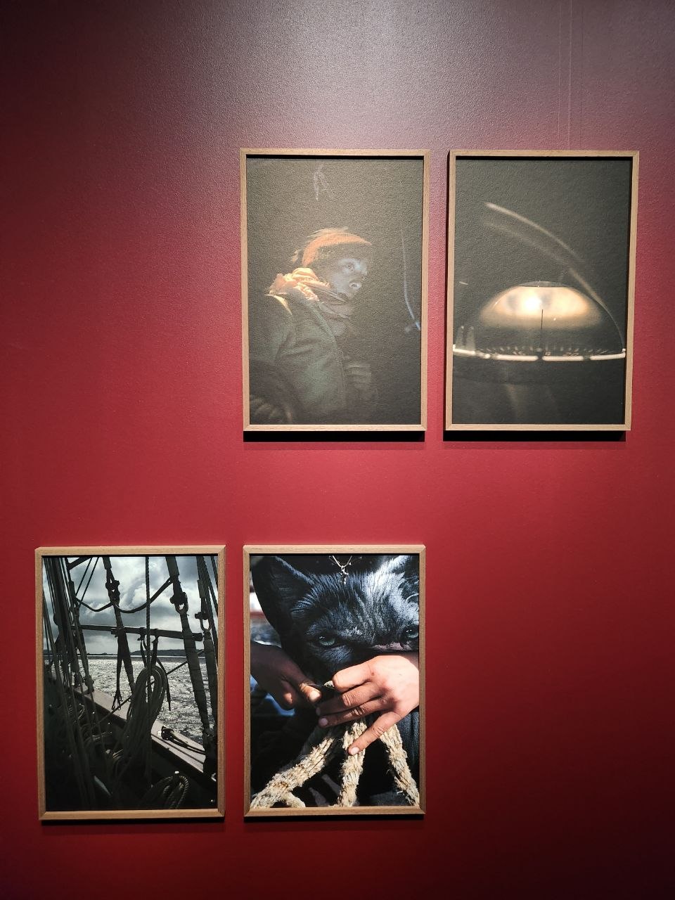 expo photo mer champs libres rennes